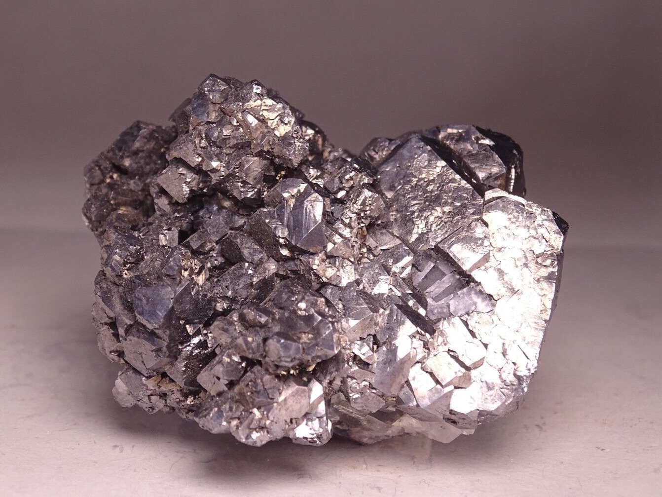 Galena on Fluorite Mineral Specimen Collector Derbyshire England