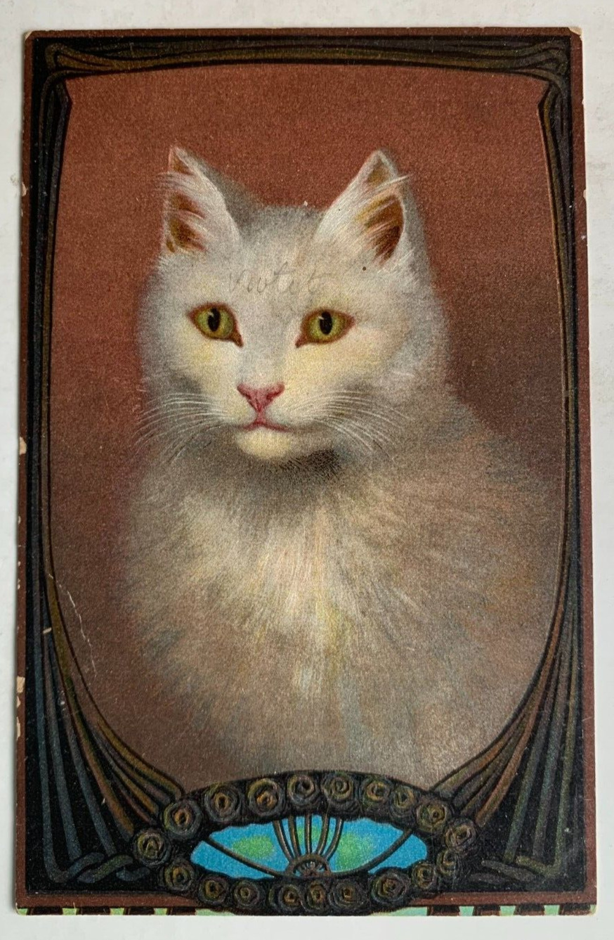 Vintage ca 1900s Postcard White Cat portrait decorated frame border art