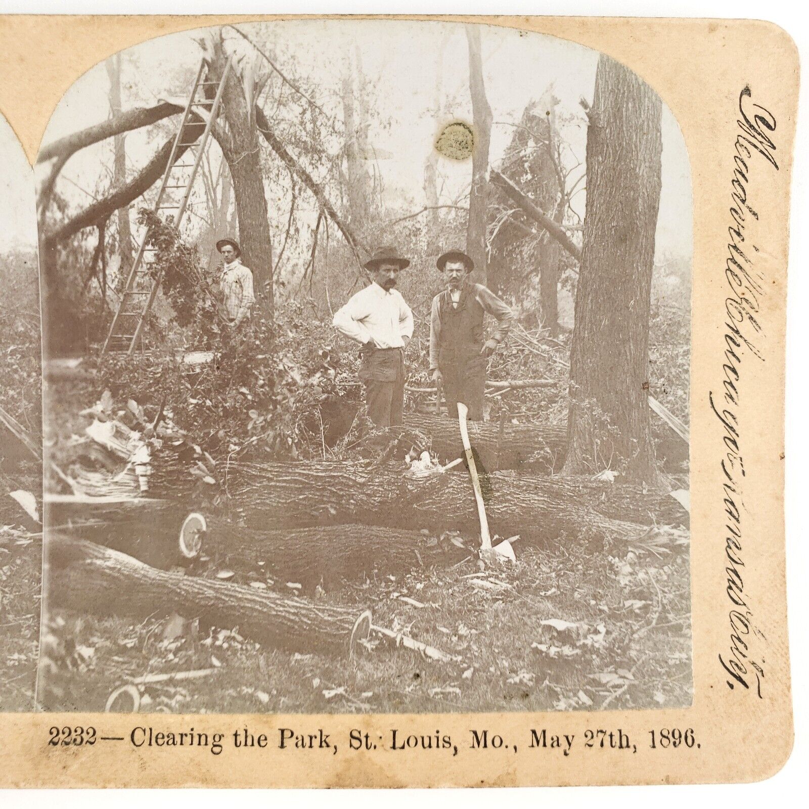 St Louis Tornado Disaster Stereoview c1896 Keystone Clean Up Crew Loggers G772
