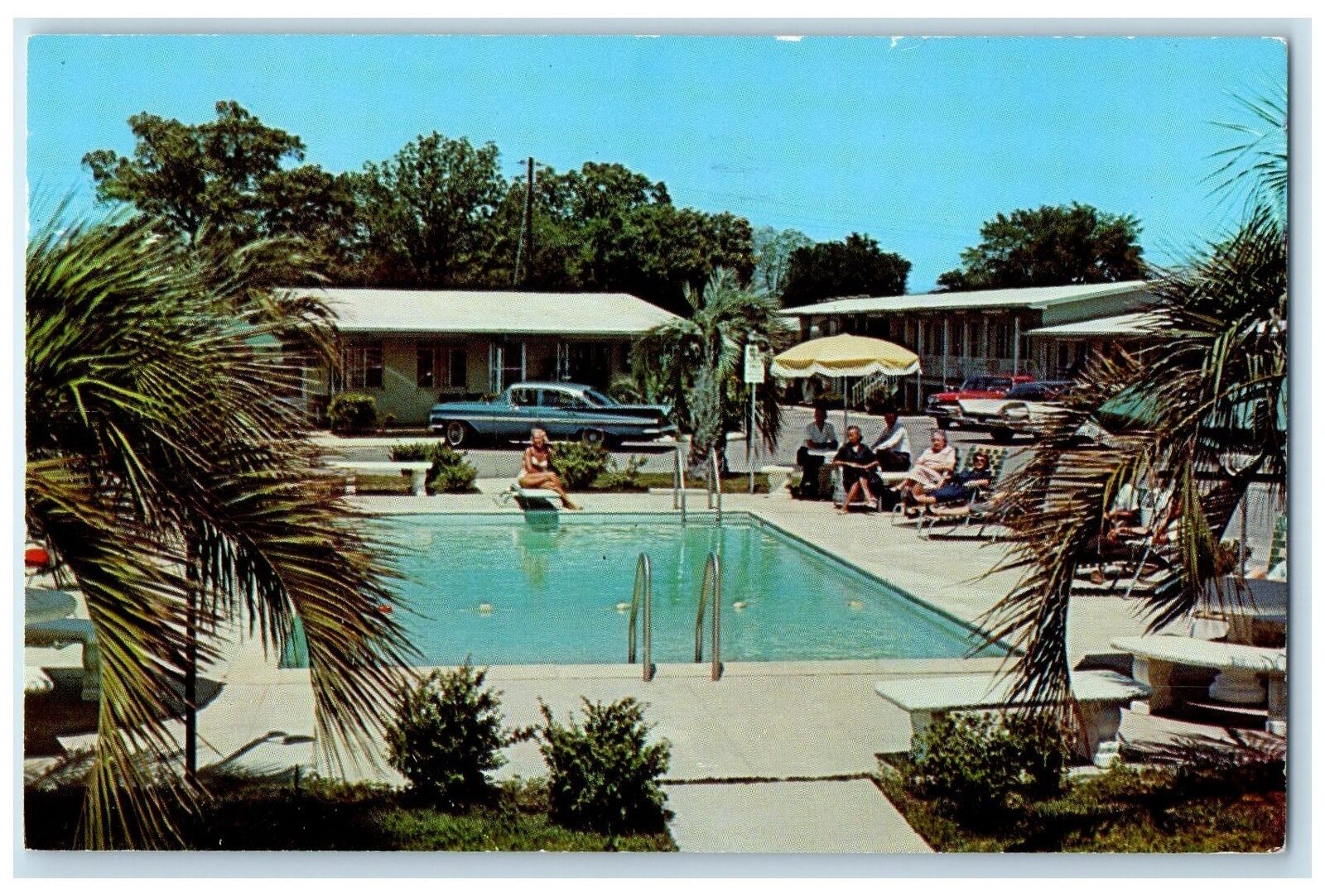 1963 Royal Palms Motel Swimming Pool Augusta Georgia GA Posted Trees Postcard