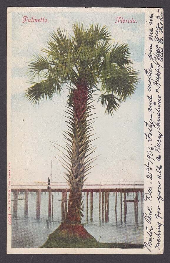 Palmetto FL undivided back postcard 1906