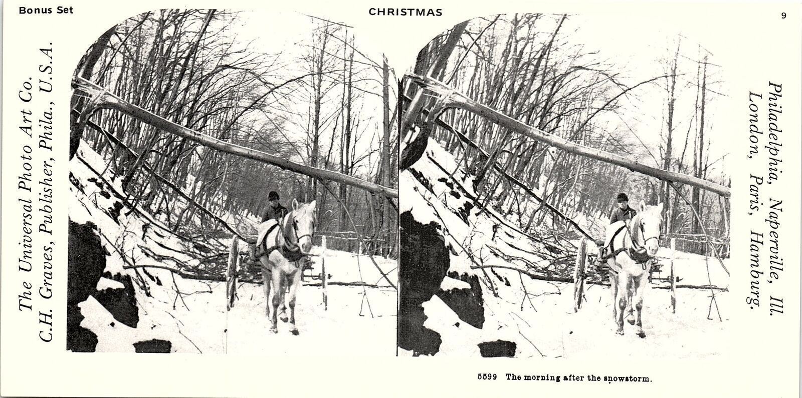 VICTORIAN CHRISTMAS HORSE CART MORNING AFTER THE SNOWSTORM STEREOVIEW 40-88