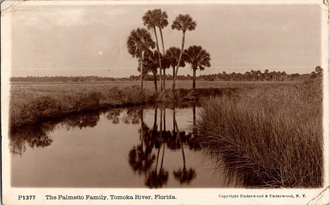 The Palmetto Family Took River FL RPPC Antique Postcard Underwood & Underwood