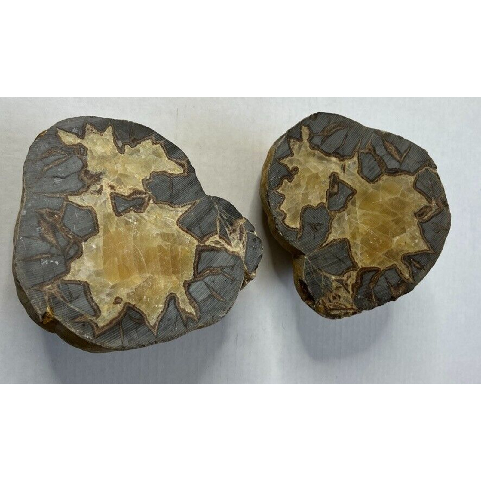 (2) Beautiful Septarian Nodule Geode Dragon Stone Polished Sides - 8 lbs, 8 oz