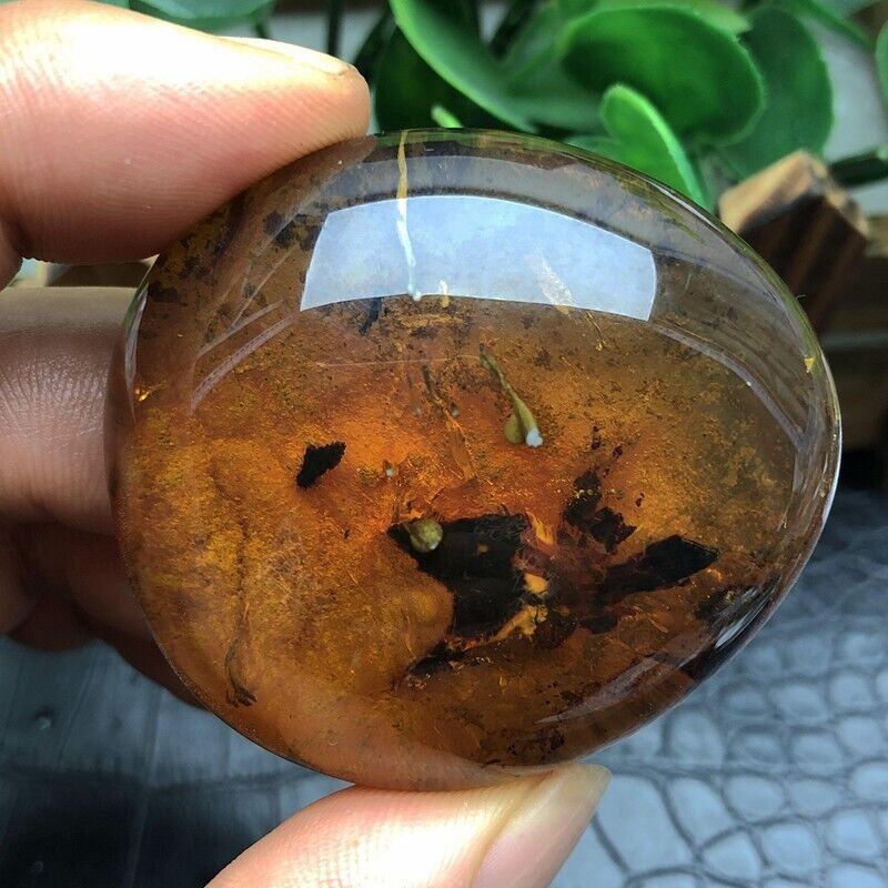 WOW！！！！Rare Genuine Natural Rich Baltic Amber Gemstone Fossil amber specimen 29g