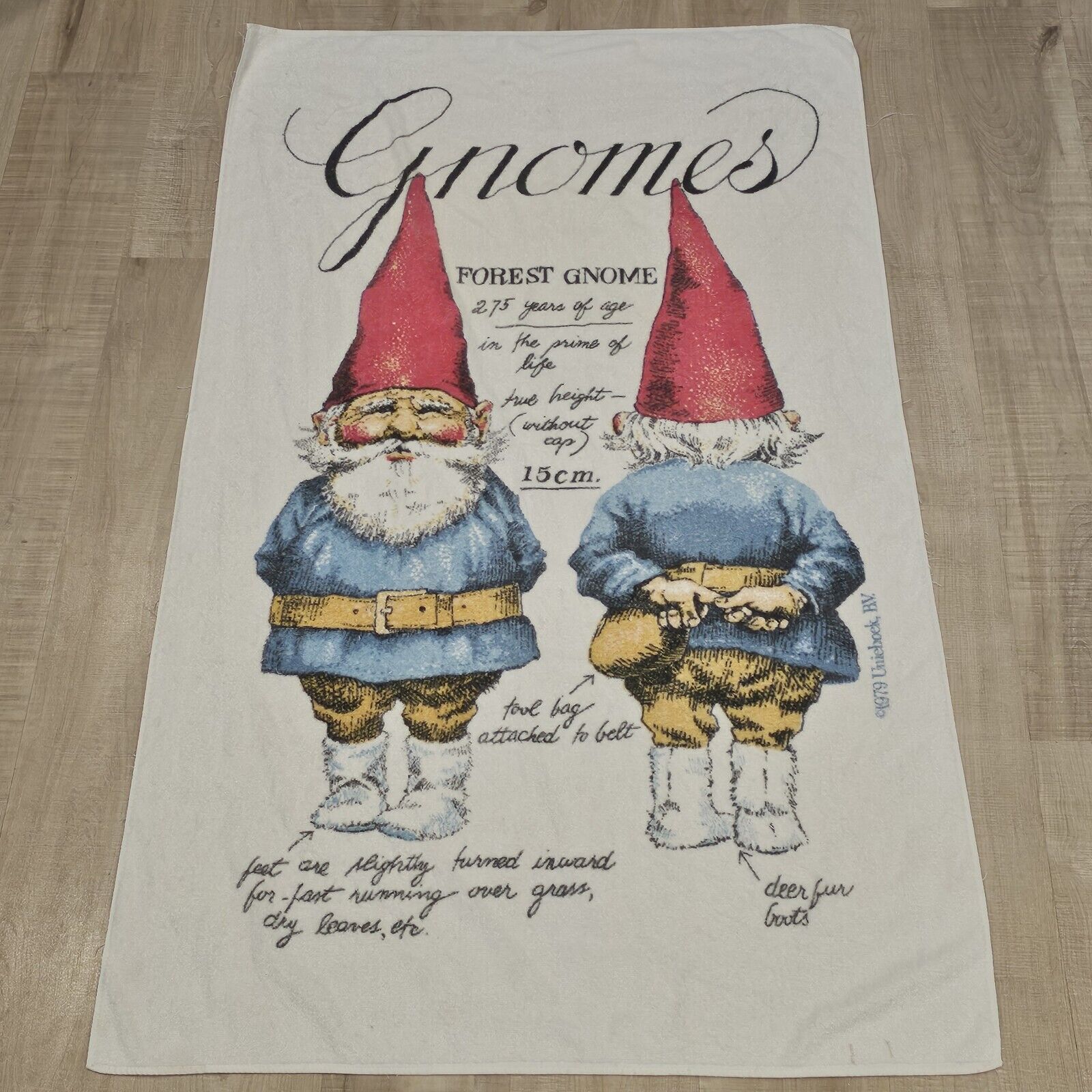 Vintage 1979 Gnomes Beach Towel Royal Treasure Made In USA 60