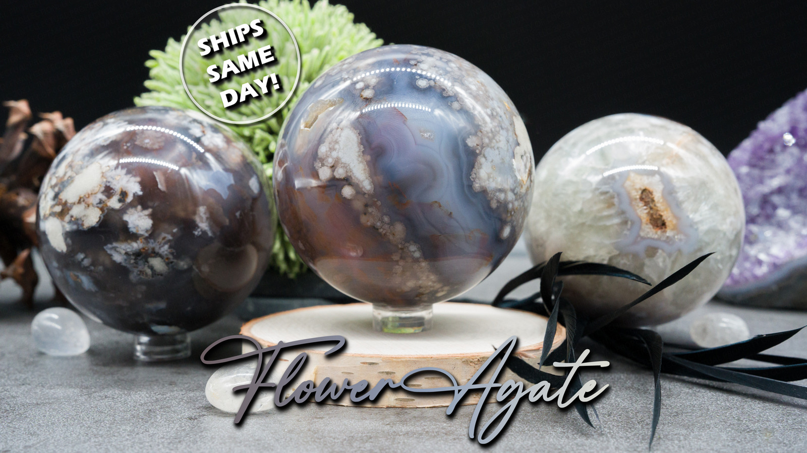 Black Flower Agate Crystal Sphere With Natural Druzy