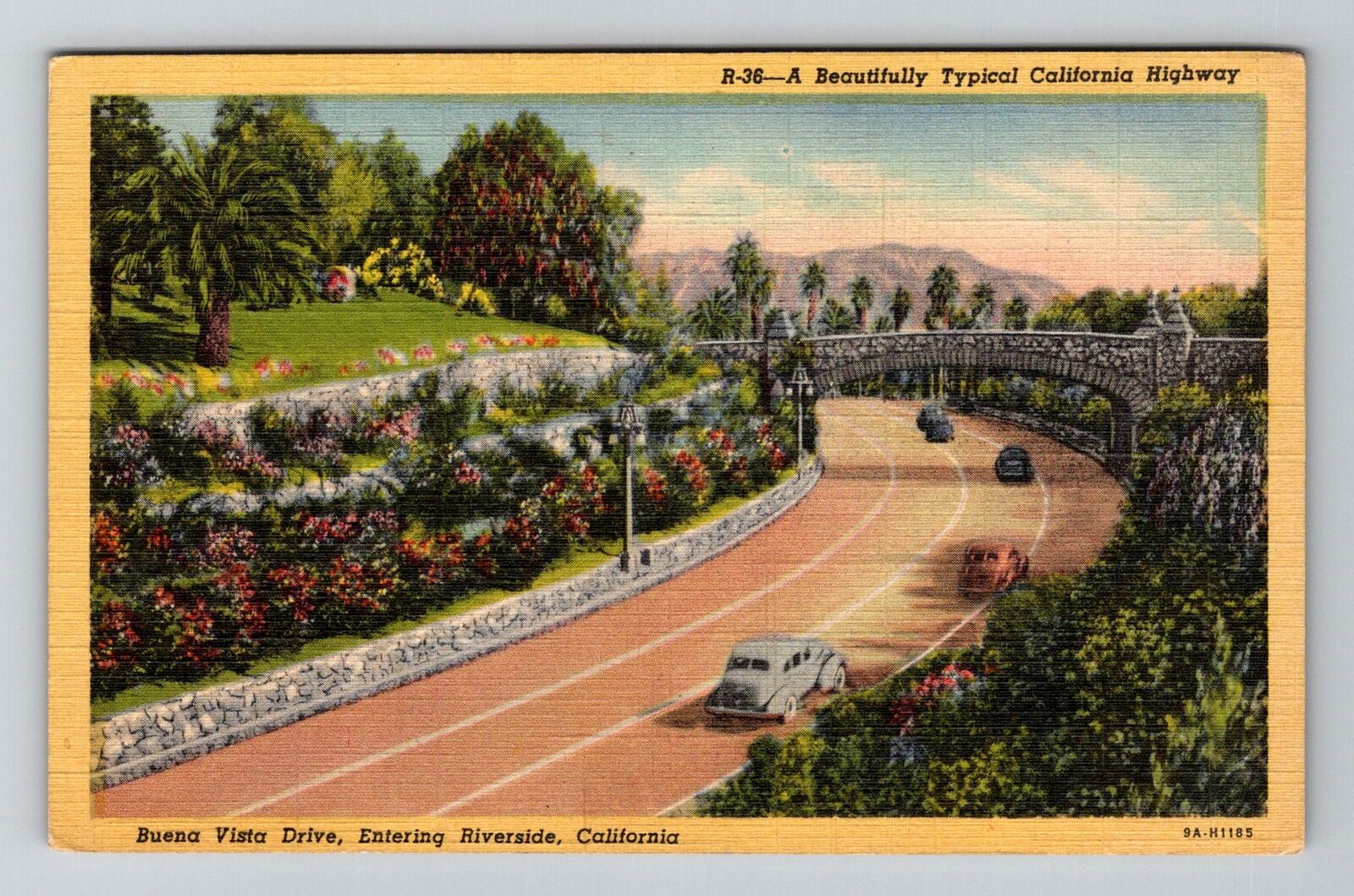 Riverside CA-California, Buena Vista Drive, Vintage Postcard