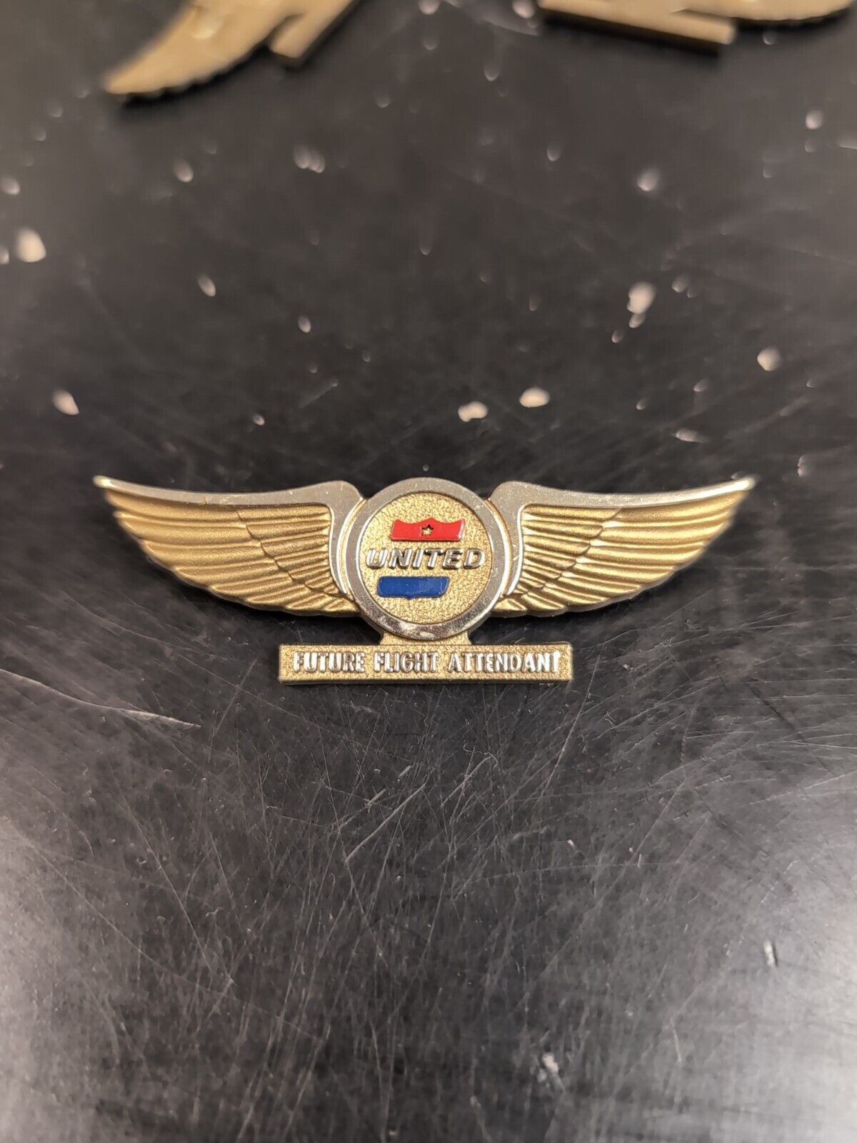 Vintage Plastic UNITED AIRLINES Future Stewardess pin