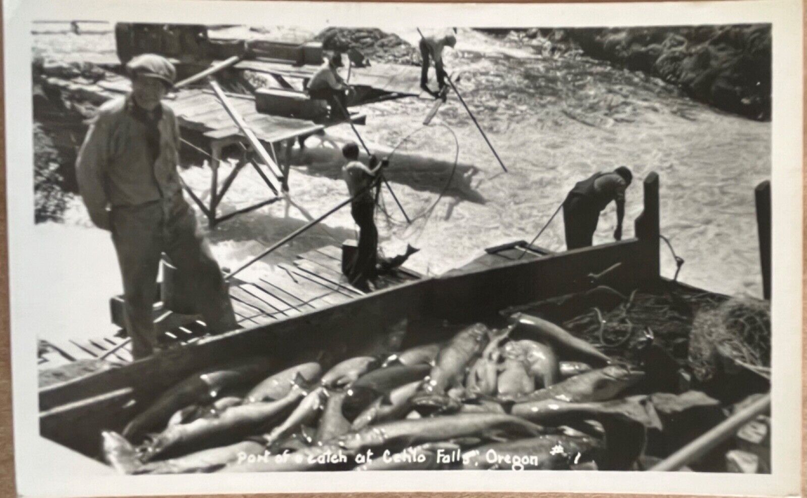 RPPC Celilo Falls Oregon Indians Fish Catch Real Photo Postcard c1950