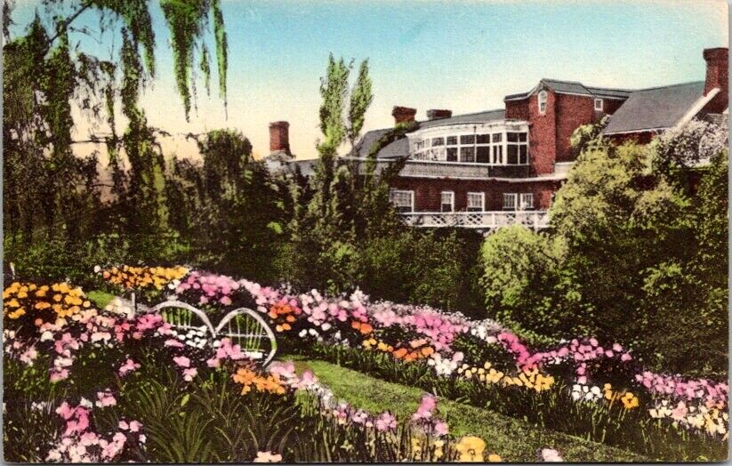 Vintage Albertype Postcard Gardens at The Mimslyn Hotel Luray Virginia VA   V096