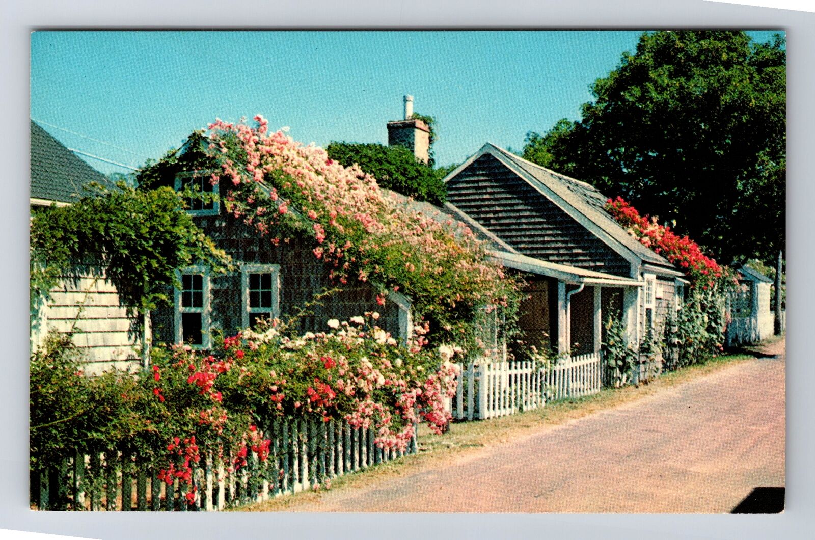 Nantucket Island MA- Massachusetts, Rose Covered Cottages, Vintage Postcard