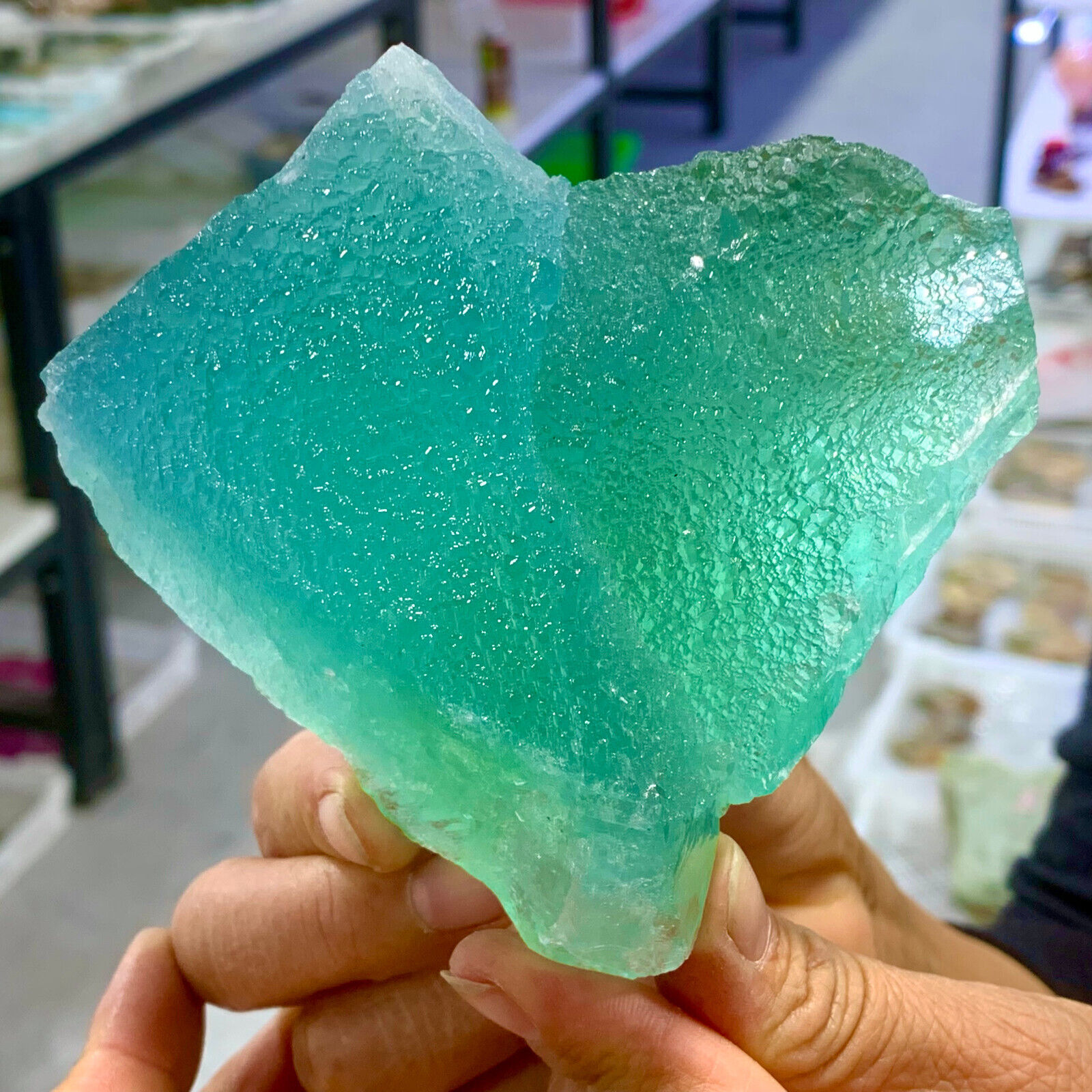 1.66LB Rare transparent Green cubic fluorite crystal samples/China
