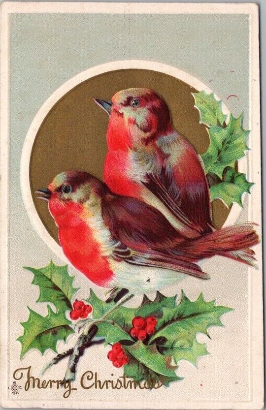 Vintage 1912 CHRISTMAS Embossed Postcard Robin Birds / Holly - STECHER 224E