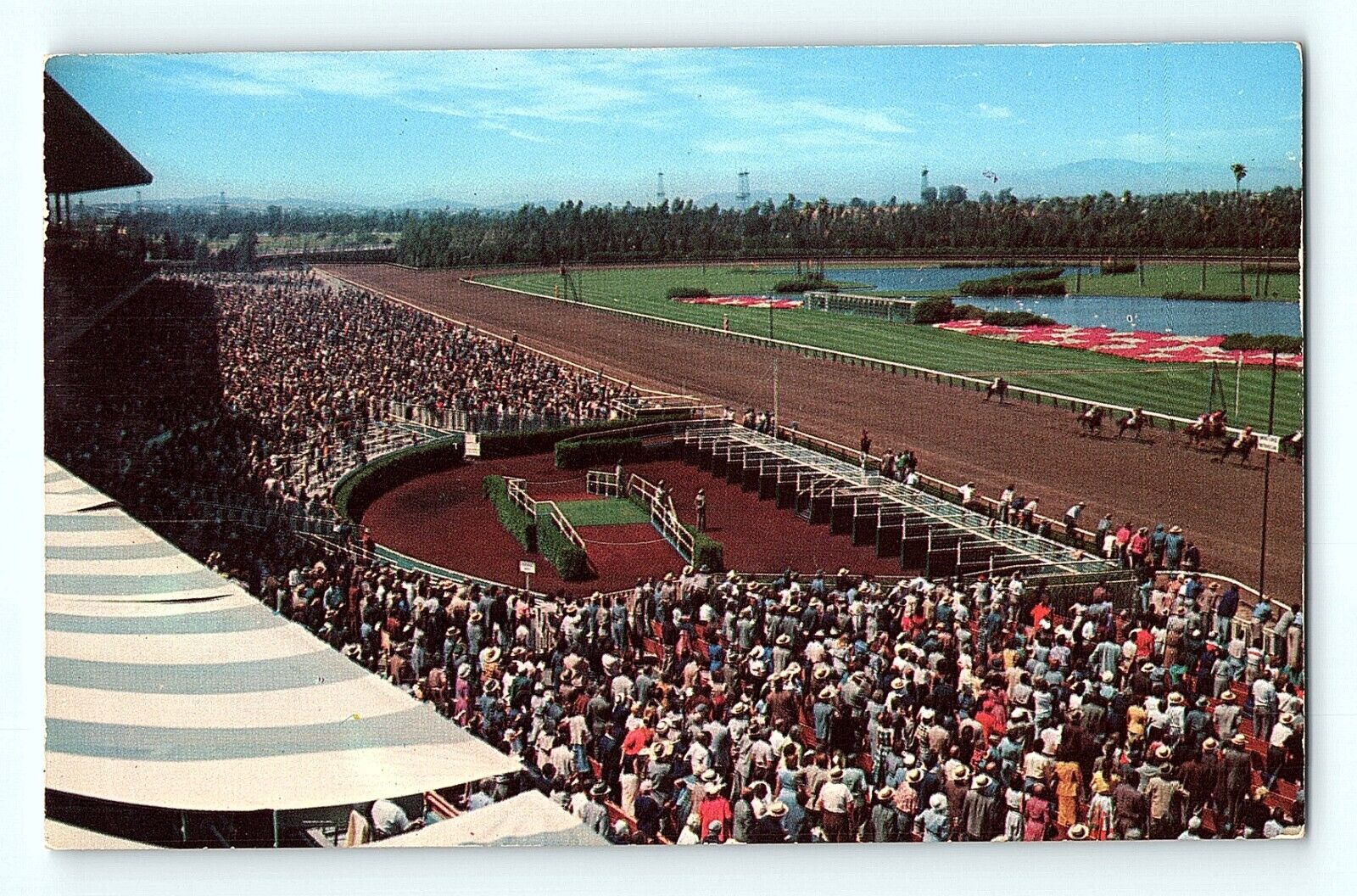 Hollywood Park Racetrack Inglewood California Crowds Watc Horse Race Postcard E5
