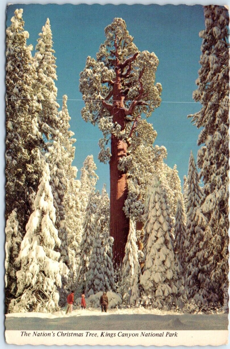 Postcard - General Giant Tree, Kings Canyon National Park, California