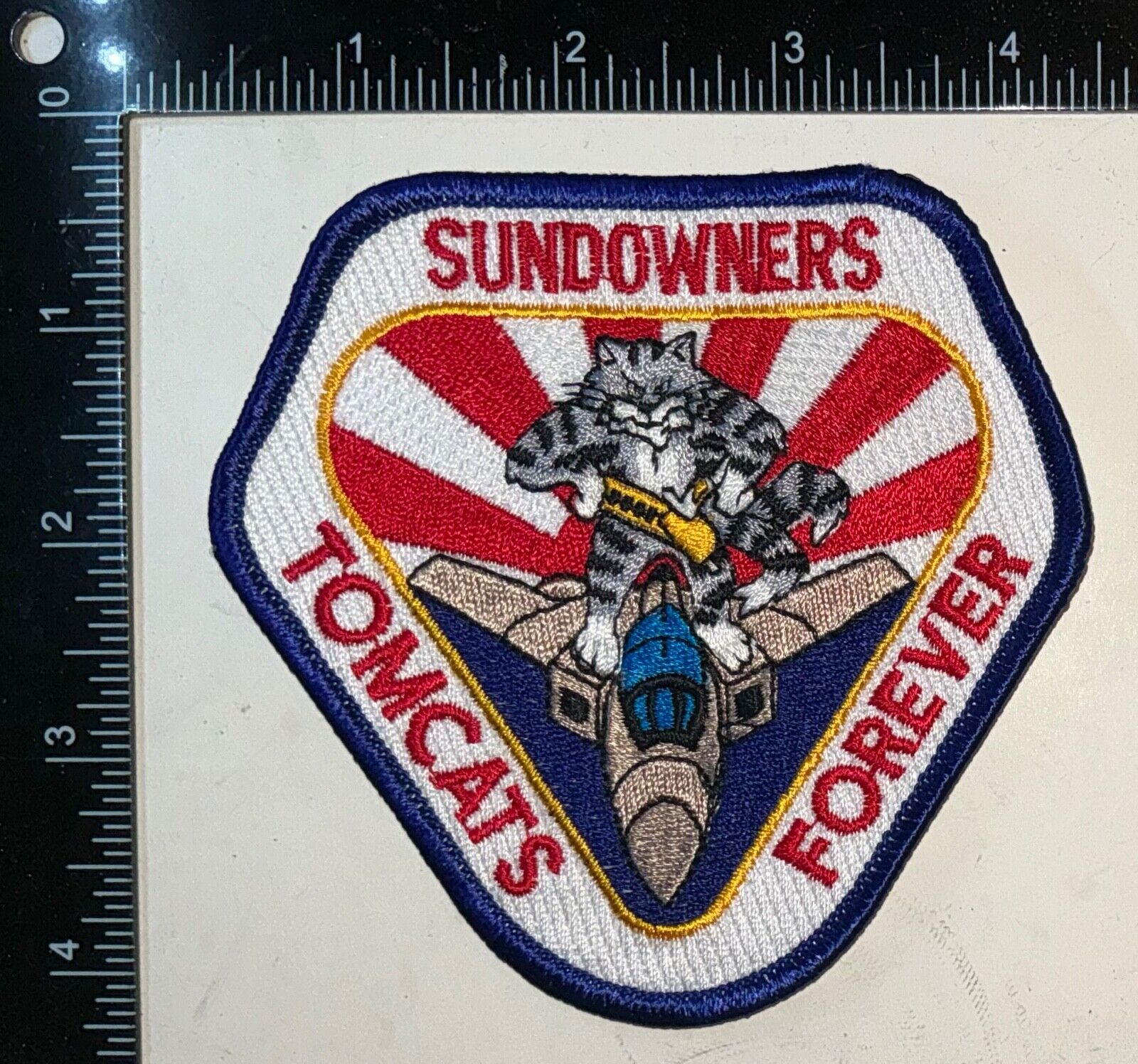 USN US Navy VF-111 Sundowners F-4 Tomcats Forever Patch