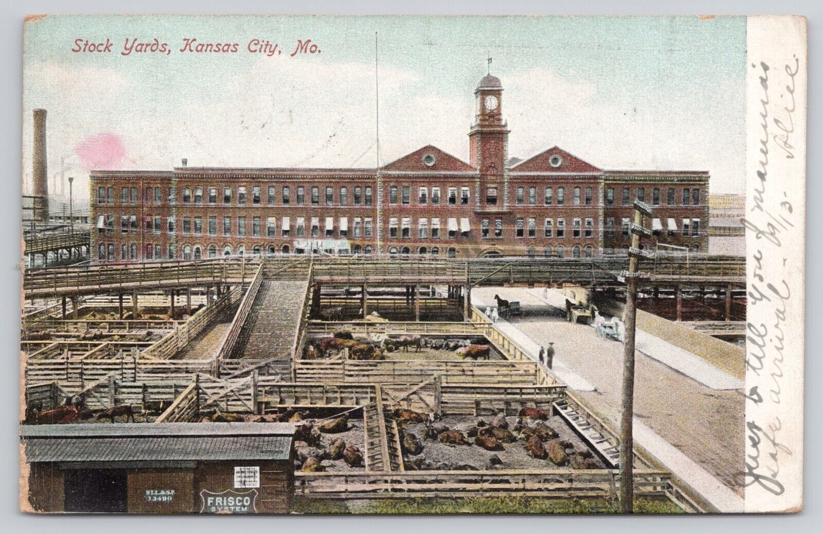 1906 Stock Yards Cattle Pens Kansas City Missouri MO Antique Postcard