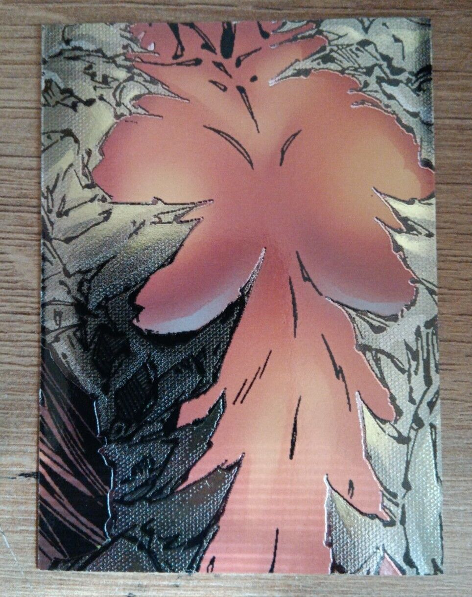 1996 Top Cow Witchblade Comic Etched Foil Portrait Puzzle Insert Card  P5