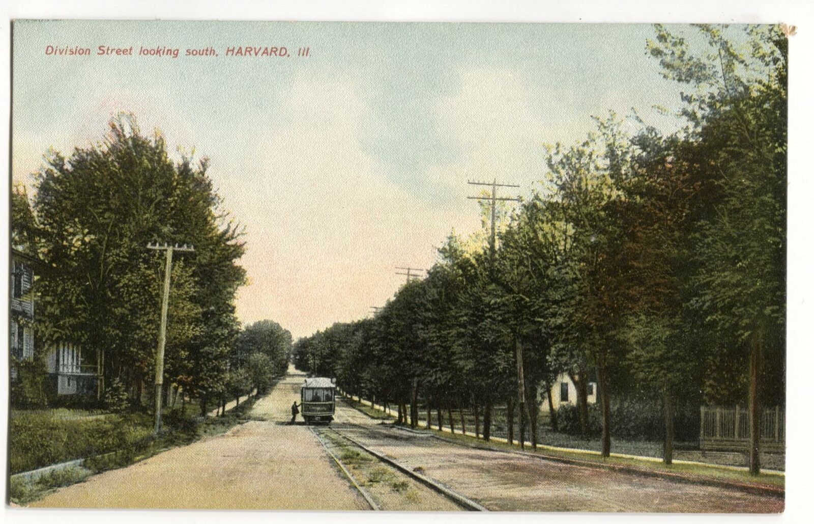 Postcard Division Street Looking South Harvard IL 