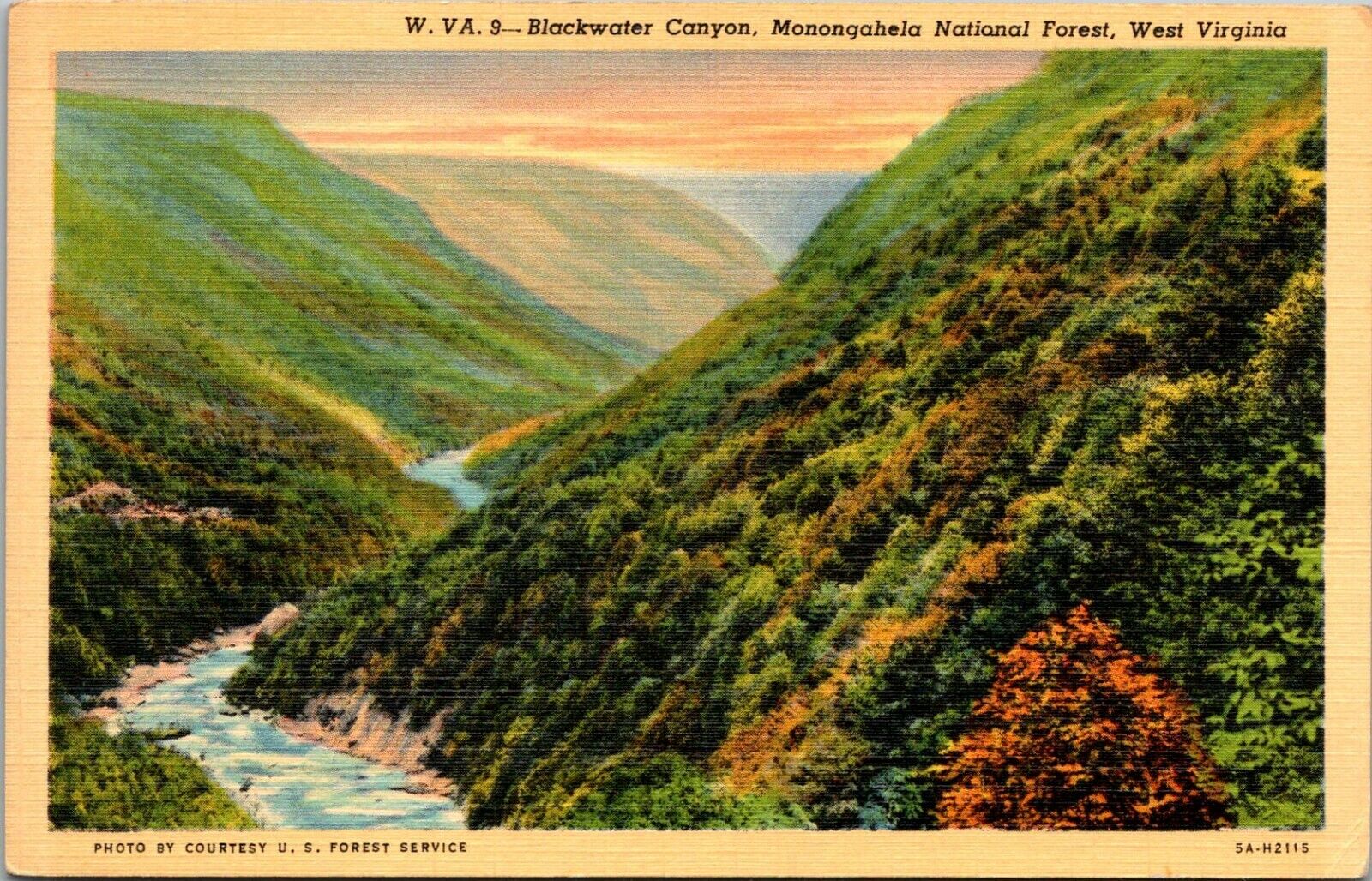 Vintage Postcard Blackwater Canyon Monongahela National Forest West Virginia WVA