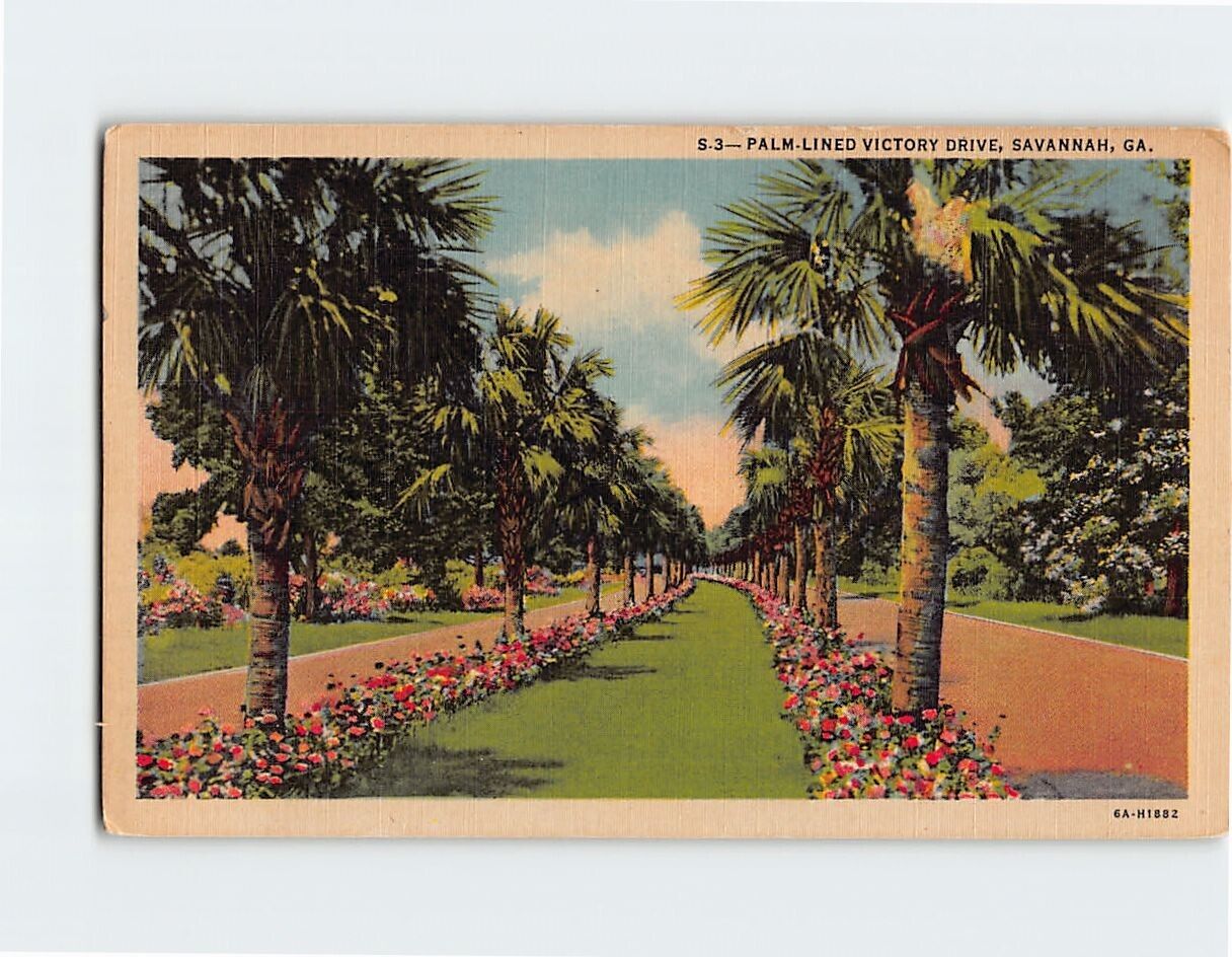 Postcard Palm-Lined Victory Drive Savannah Georgia USA