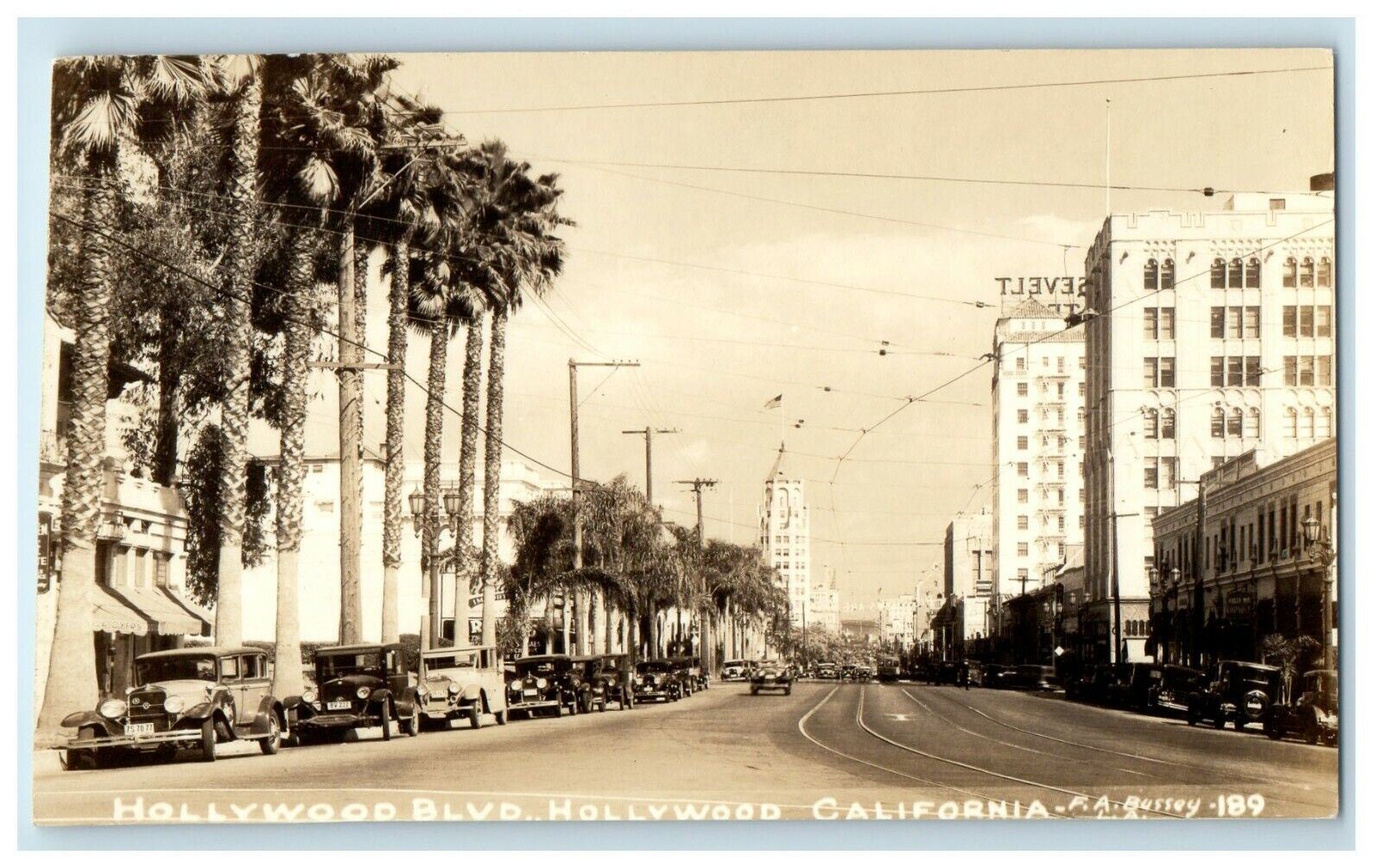 c1940's Hollywood Boulevard View Cars California CA RPPC Photo Vintage Postcard
