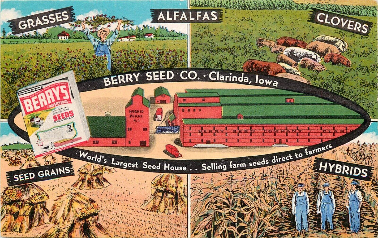 1930s Multiview Advertising Postcard Berry Seed Co. Clarinda IA Agriculture