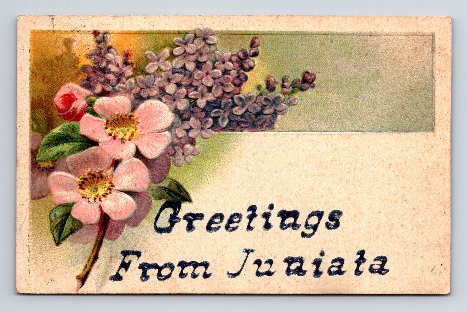 Flower Border Greetings from Juniata OH Postcard