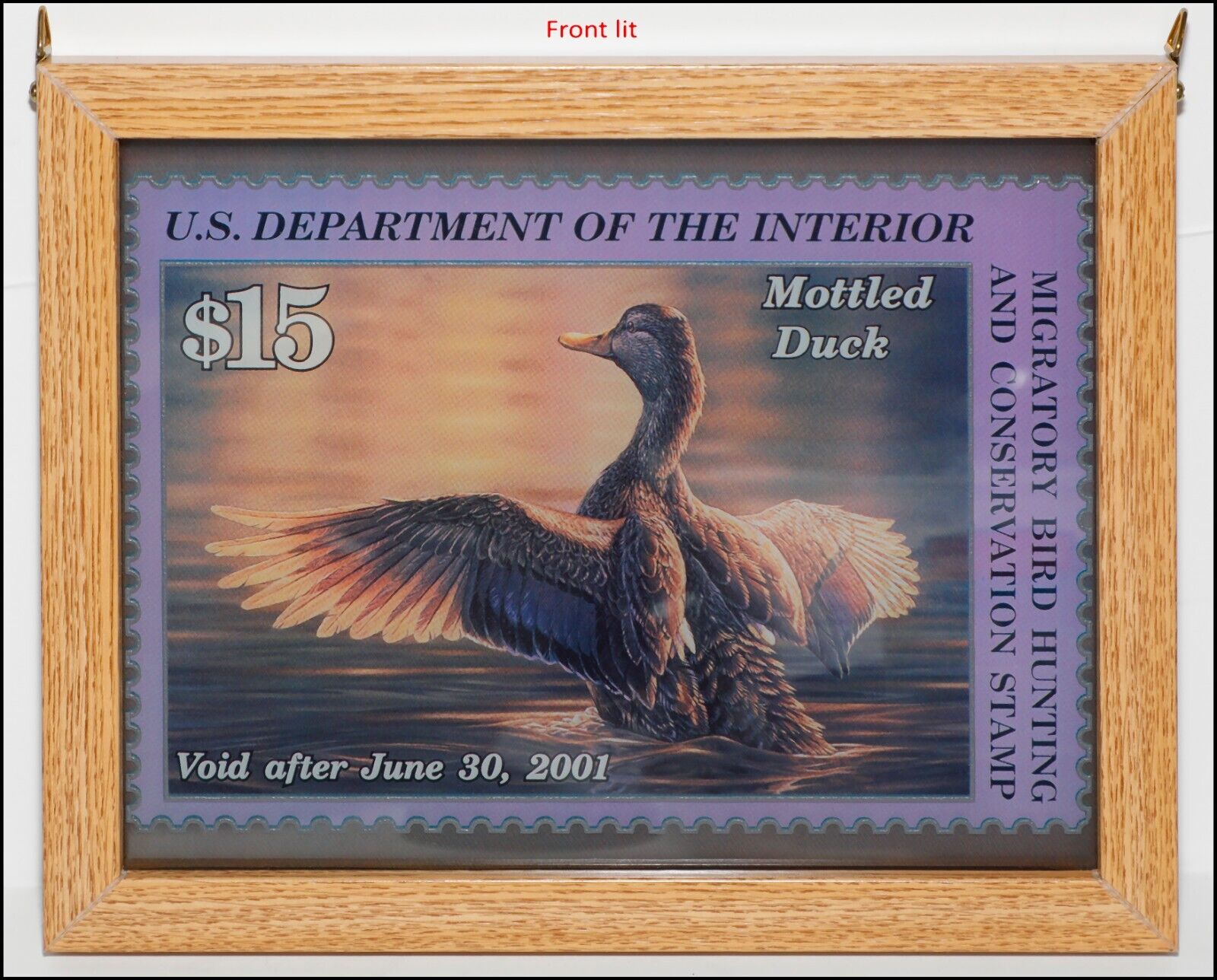 Glass suncatcher of Mottled Duck Migratory Bird Hunting and Conservation Stamp