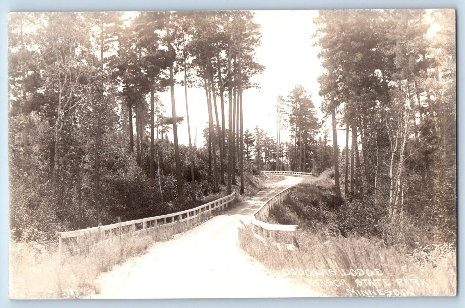 Itasca State Park MN Postcard RPPC Photo Douglas Lodge Road Scene c1940s Vintage