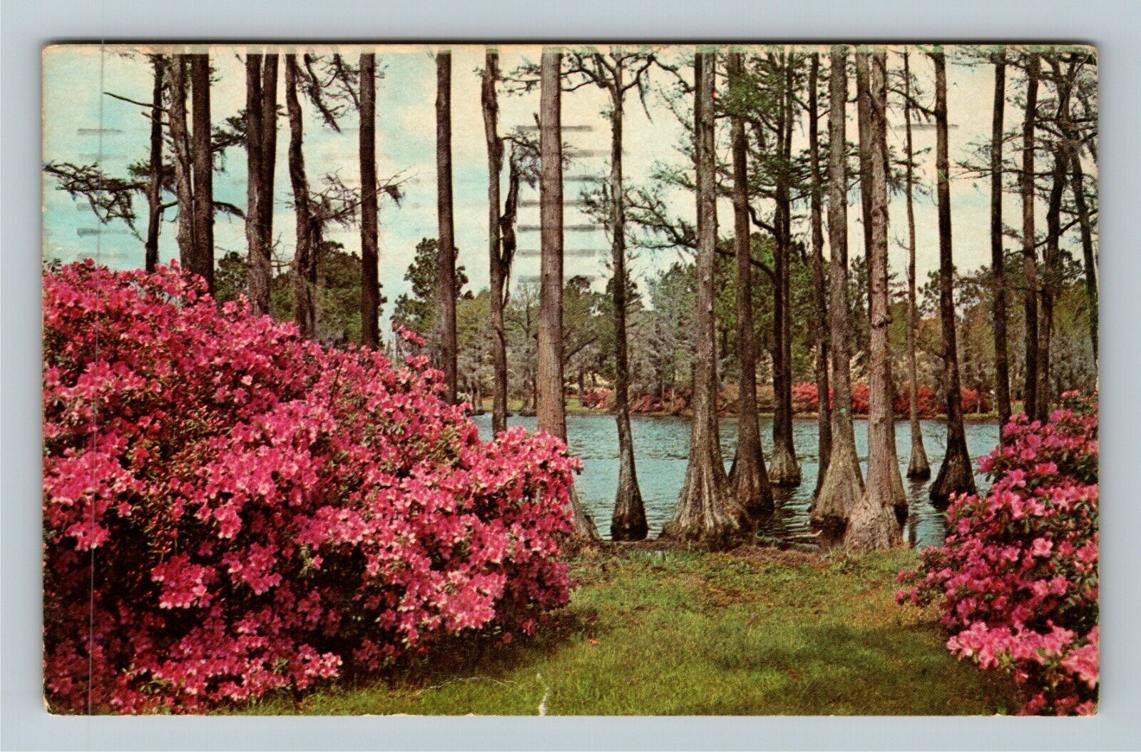 Wilmington NC-North Carolina, Greenfield Gardens, c1968 Vintage Postcard