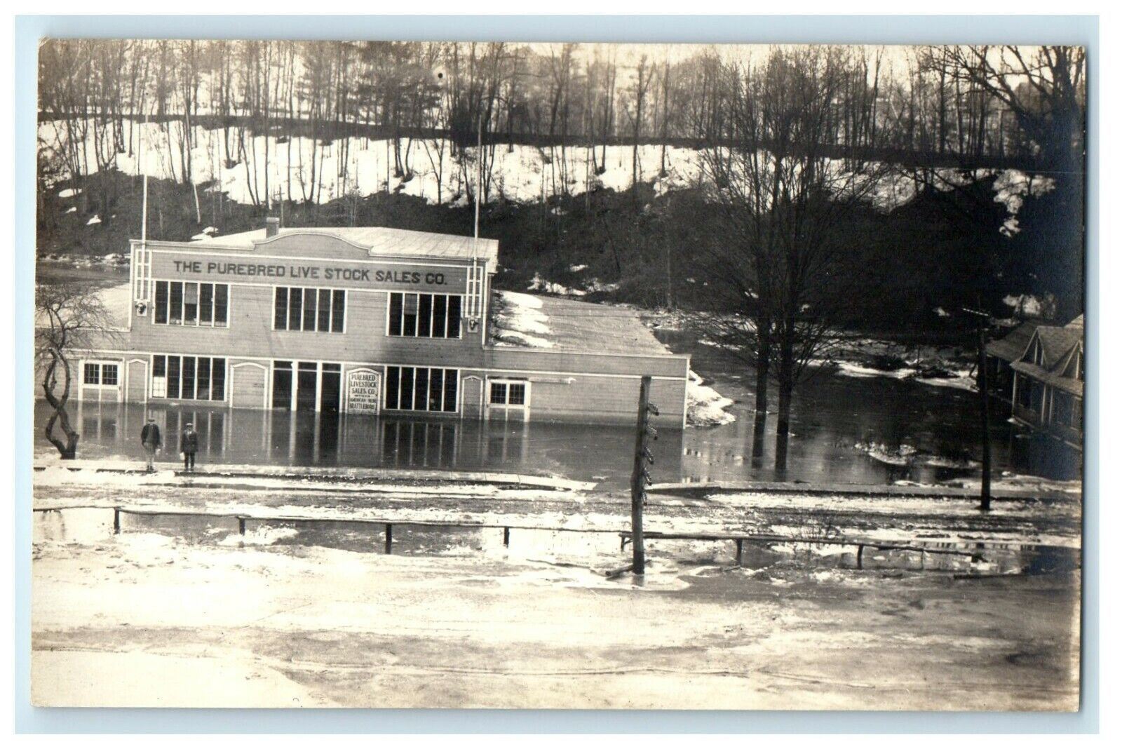 c1910 The Purebred Live Stock Sales Co. Flood Battleboro VT RPPC Photo Postcard