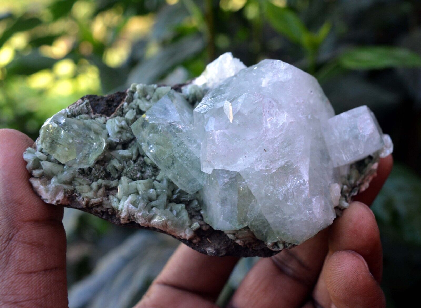 APOPHYLLITE On Green HEULANDITE Matrix Minerals J-7.24
