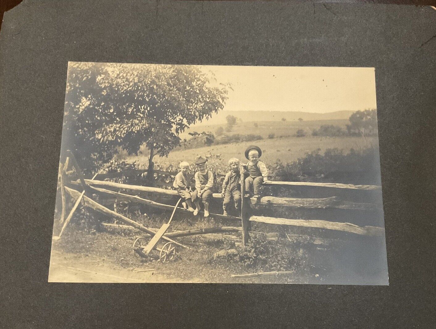 Antique 1900c Cabinet Card Photo Of Children Sitting On Fence