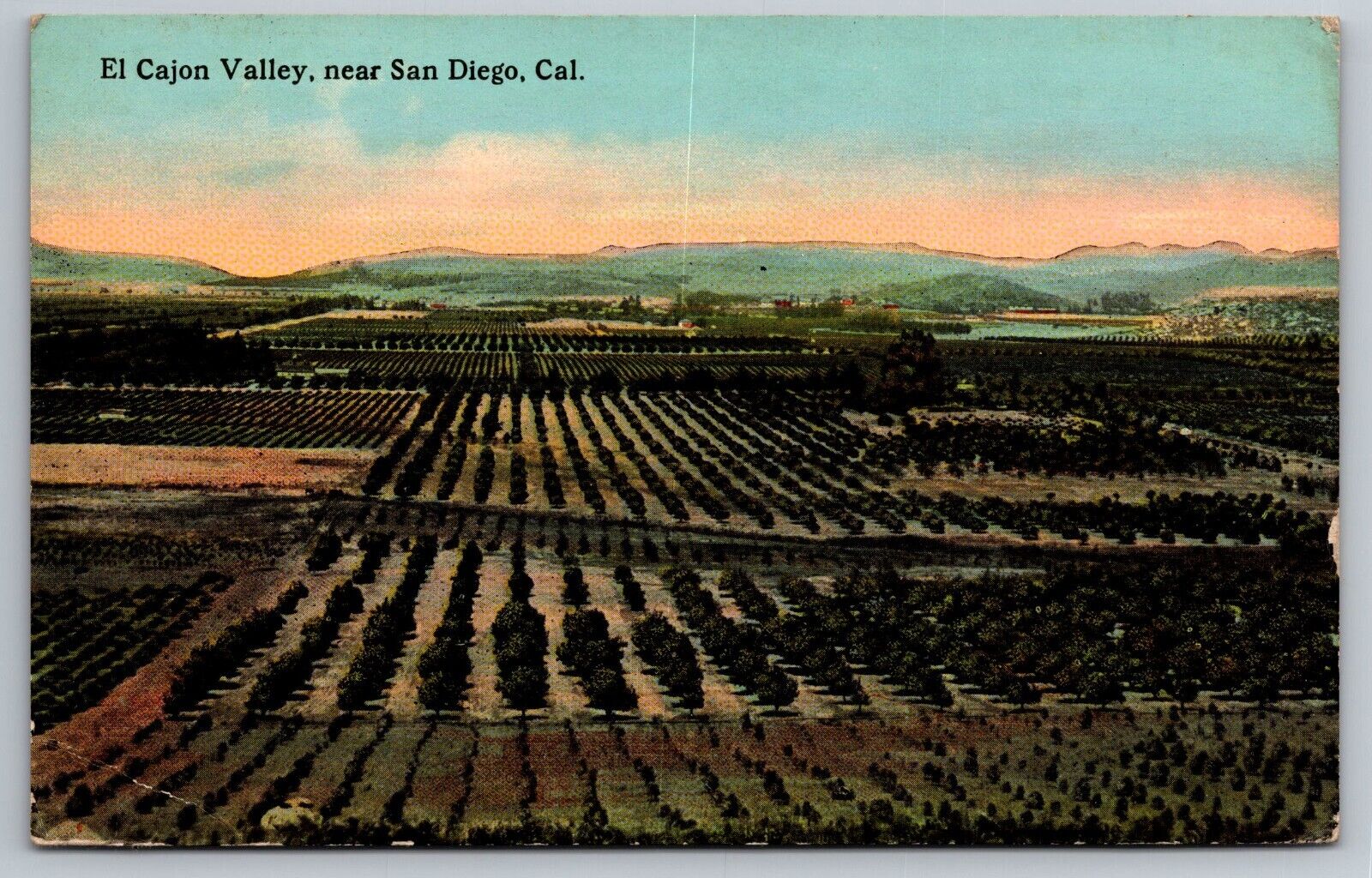 1915 El Cajon Valley near San Diego California Postcard