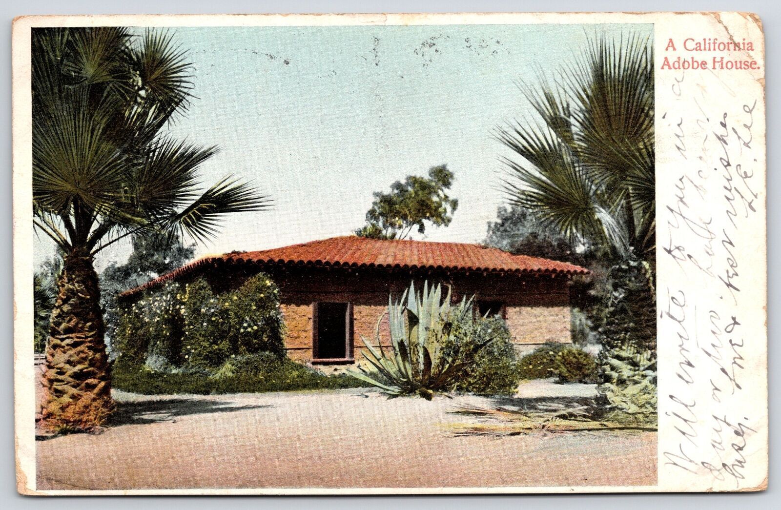 1906 A California Adobe House Palm Trees Ornamental Plants CA Posted Postcard