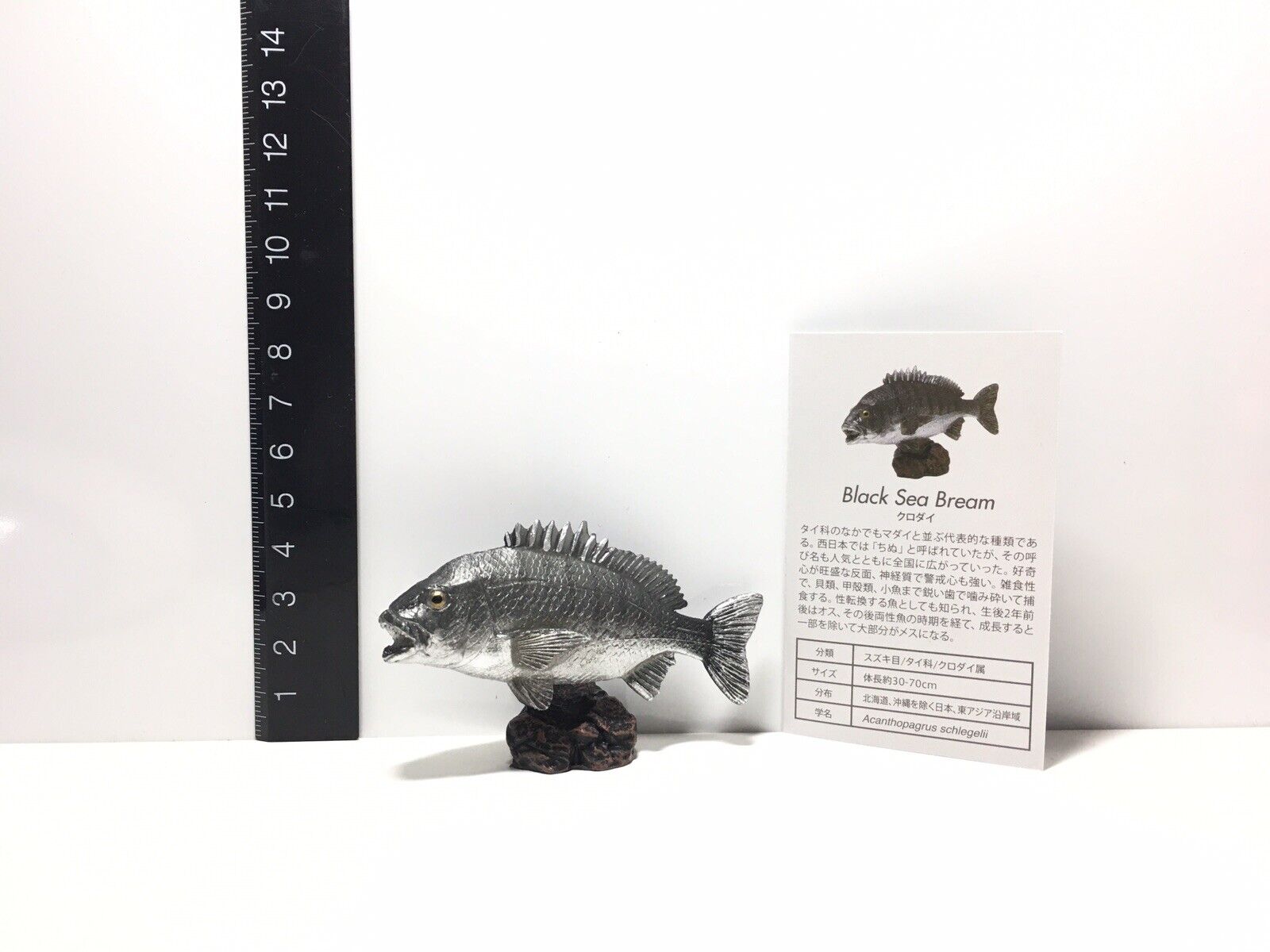 Kaiyodo Favorite Black Sea Bream FISH Mini Model Figure