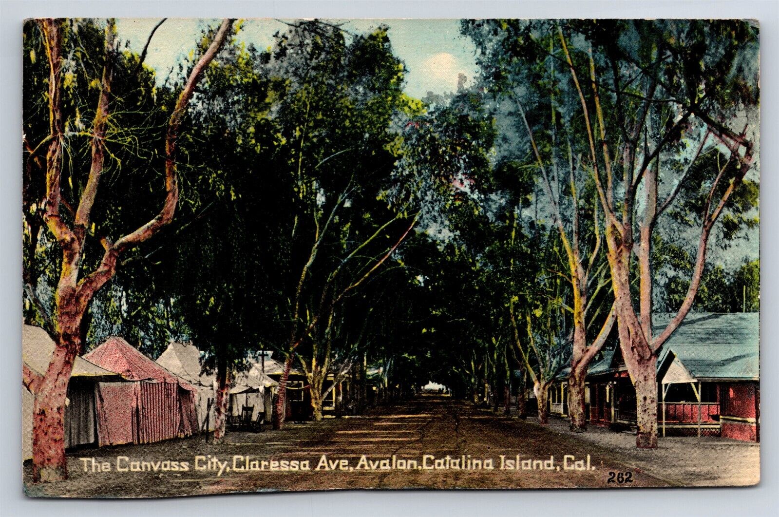 Postcard CA Santa Catalina Island Avalon Canvas City Claressa Avenue c1908 AT4