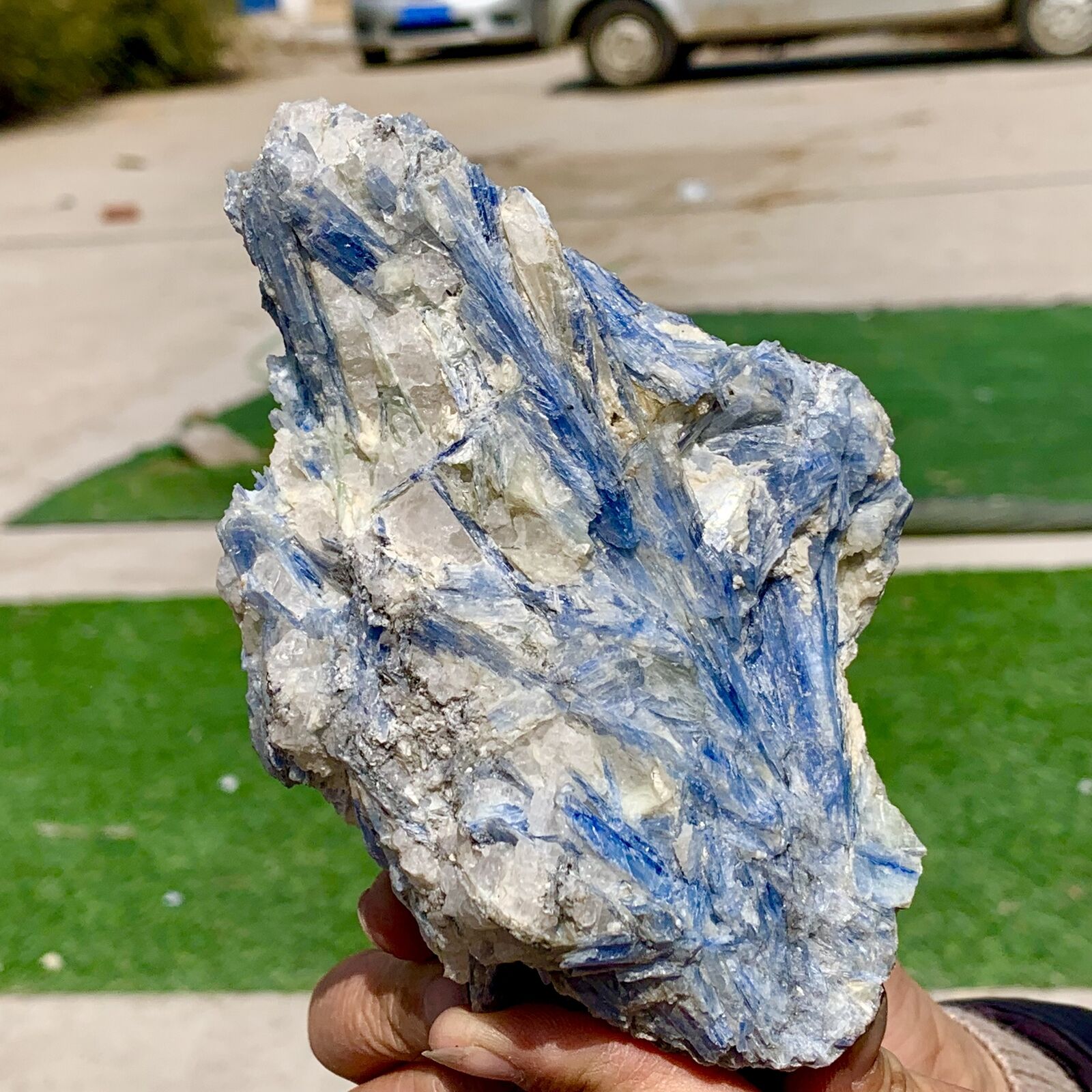 1.66LB Rare Natural beautiful Blue KYANITE with Quartz Crystal Specimen Rough
