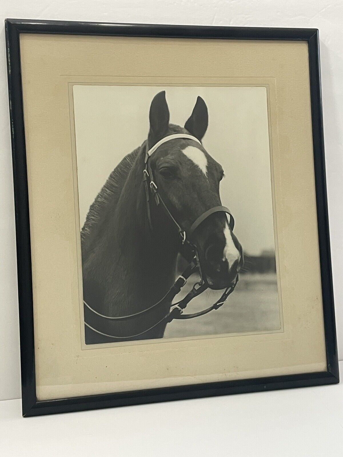 WOW Antique Framed Beautiful Horse Photo Picture Black & White 12.5” X 14.75”