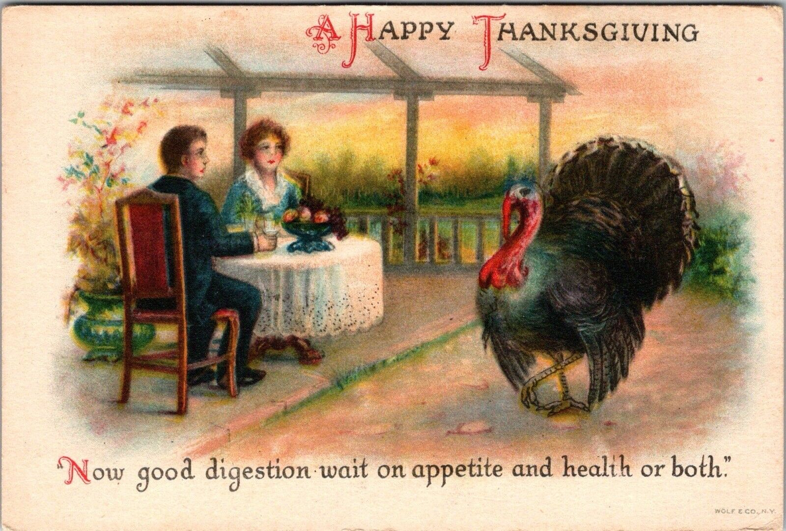 Ellen Clapsaddle Postcard Thanksgiving Turkey Couple Eating Dinner c1910 J27