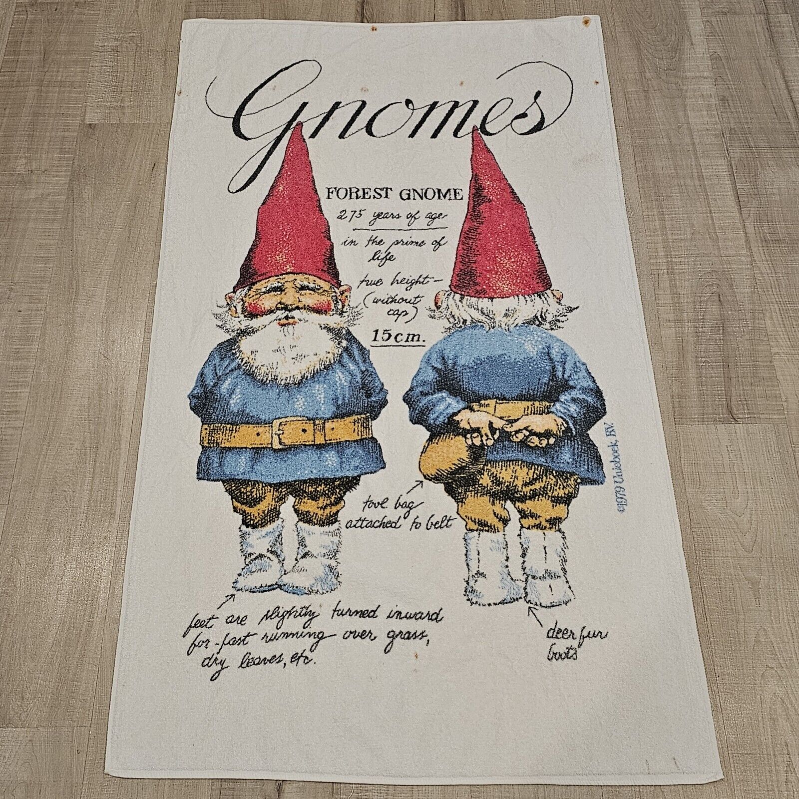 Vintage 1979 Gnomes Beach Towel Royal Treasure Made In USA 60