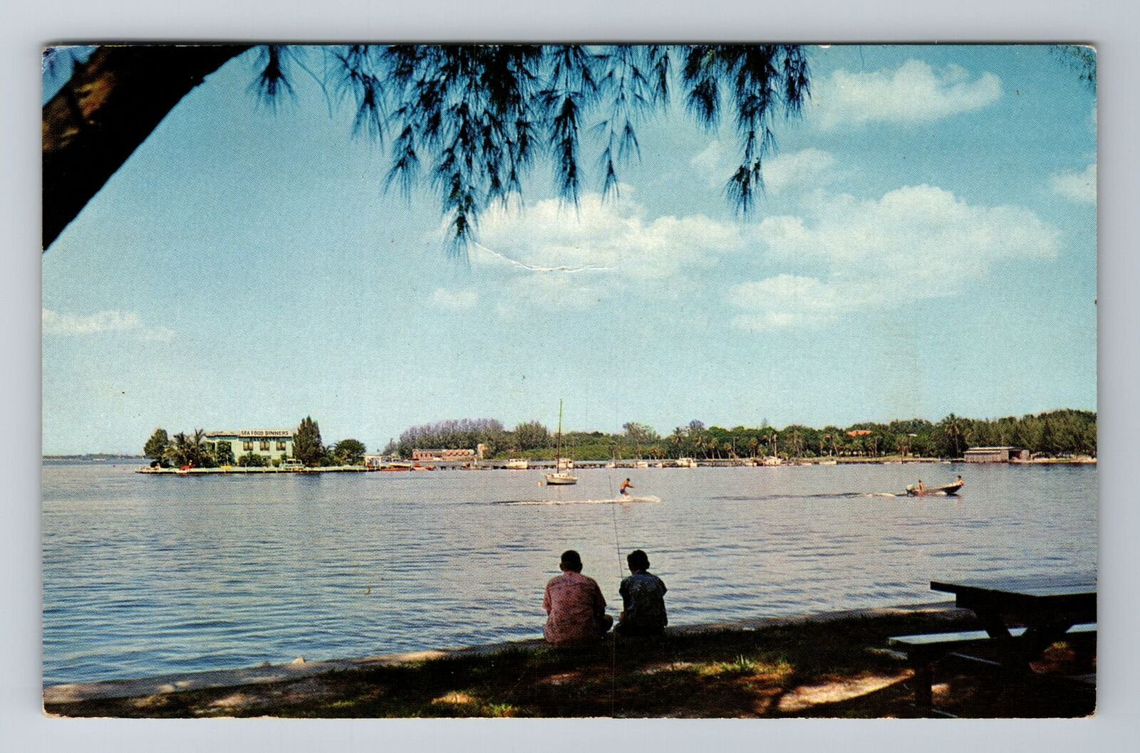 Palmetto, FL-Florida, View From City Park, City Pier c1962, Vintage Postcard