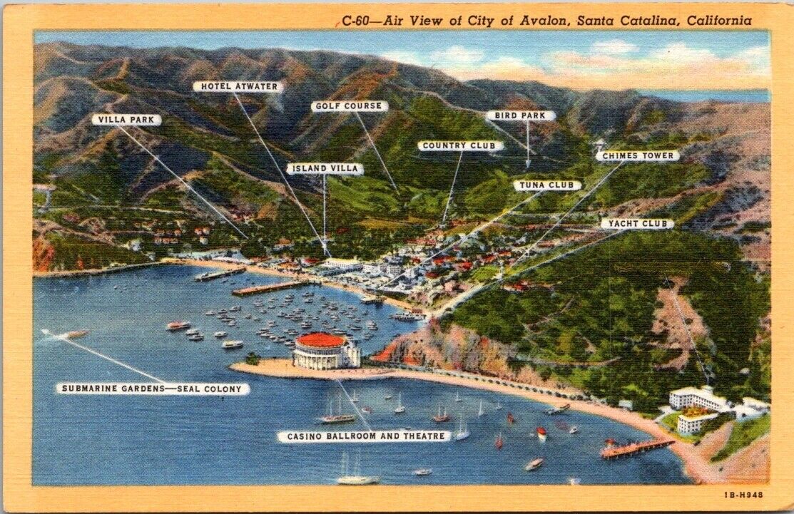 Santa Catalina Island CA Aerial Air View of City of Avalon Vintage Postcard UNP