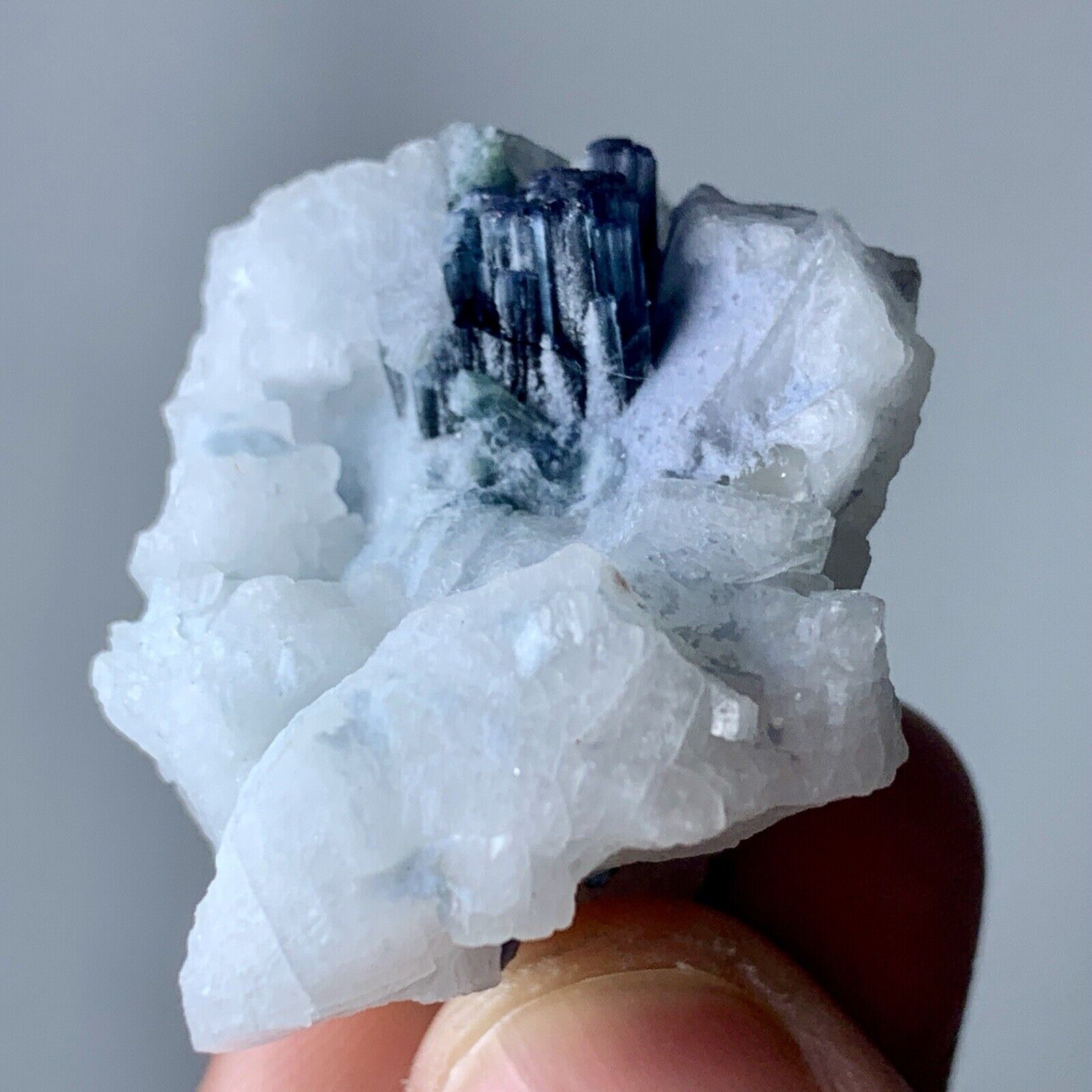 194 Carat Indicolite Colour Tourmaline Crystal With Specimen From Afghanistan