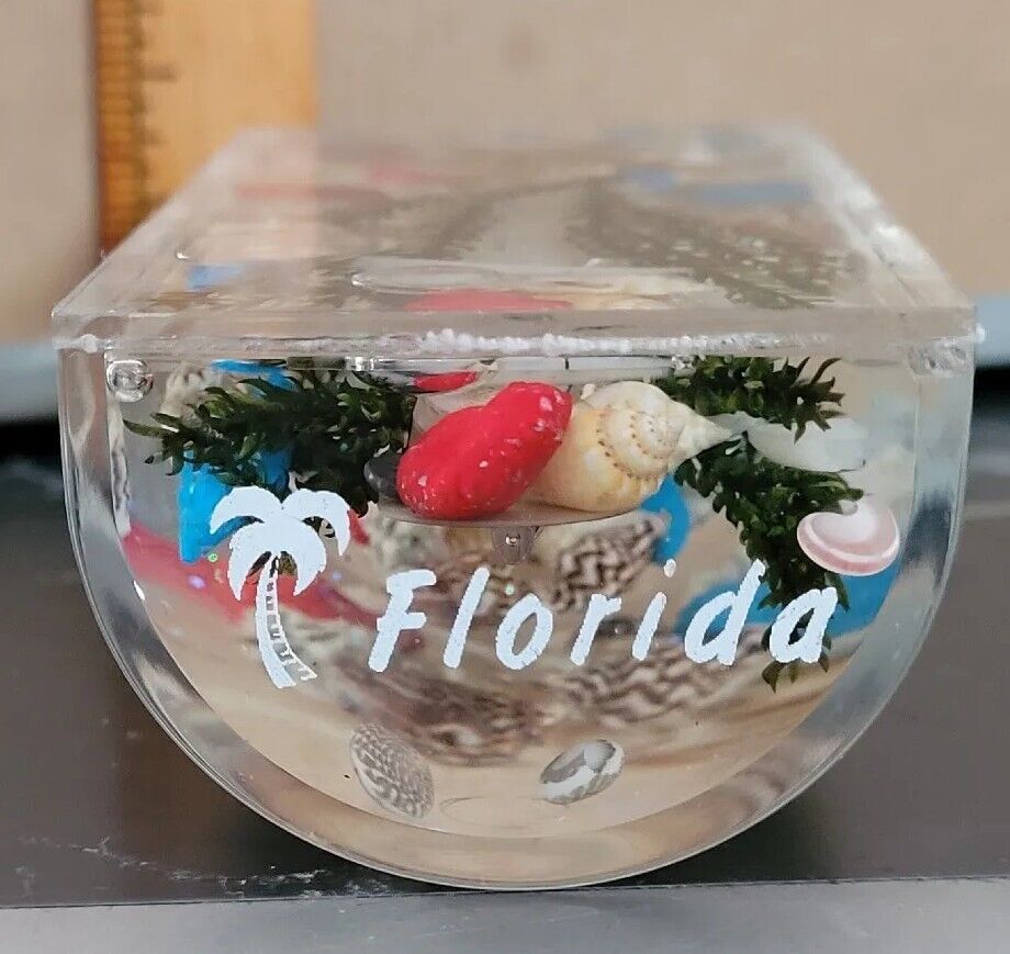 Vintage Souvenir Of Florida Paperweight Thermometer