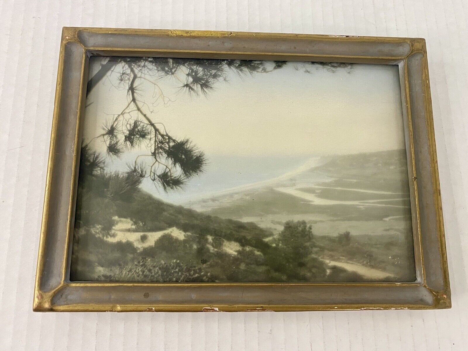 Hand Colored Photo Torrey Pines Korin California Views 1910s-20s Antique Frame