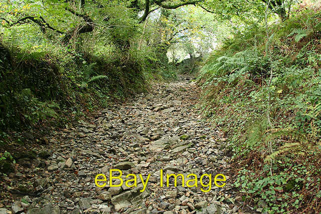 Photo 6x4 Mary Tavy: path to Horndon Cudlipptown From Horndon Bridge c2008