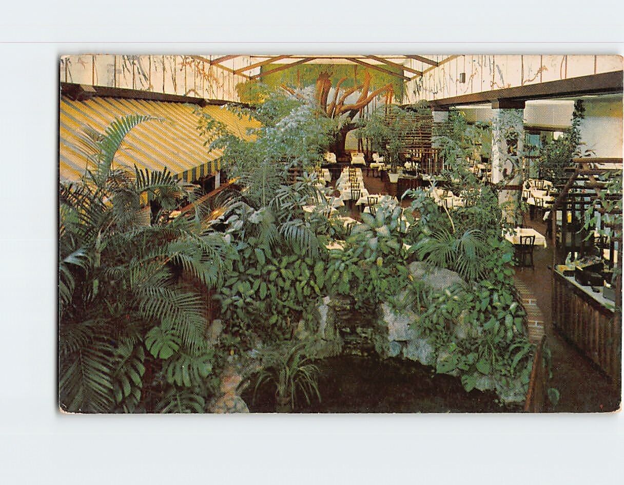 Postcard Garden Cafeteria St. Petersburg Florida USA